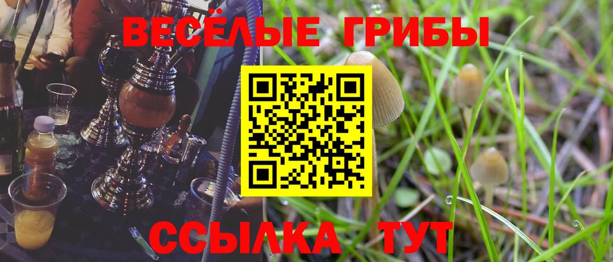 Псилоцибиновые грибы MAGIC MUSHROOMS  Вход с VPN  Кропоткин 
